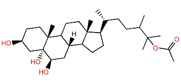 24-Methylcholestane-3b,5a,6b,25-tetrol 25-monoacetate